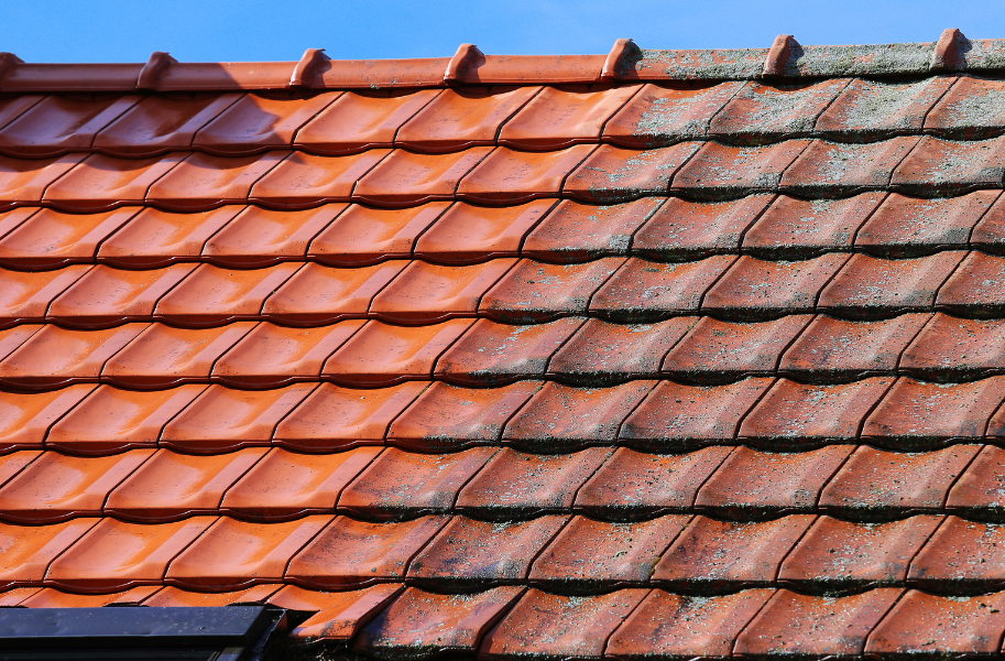 Entreprise de peinture - Etanchéité de façades - Revêtements sols et murs - Oléron peintre